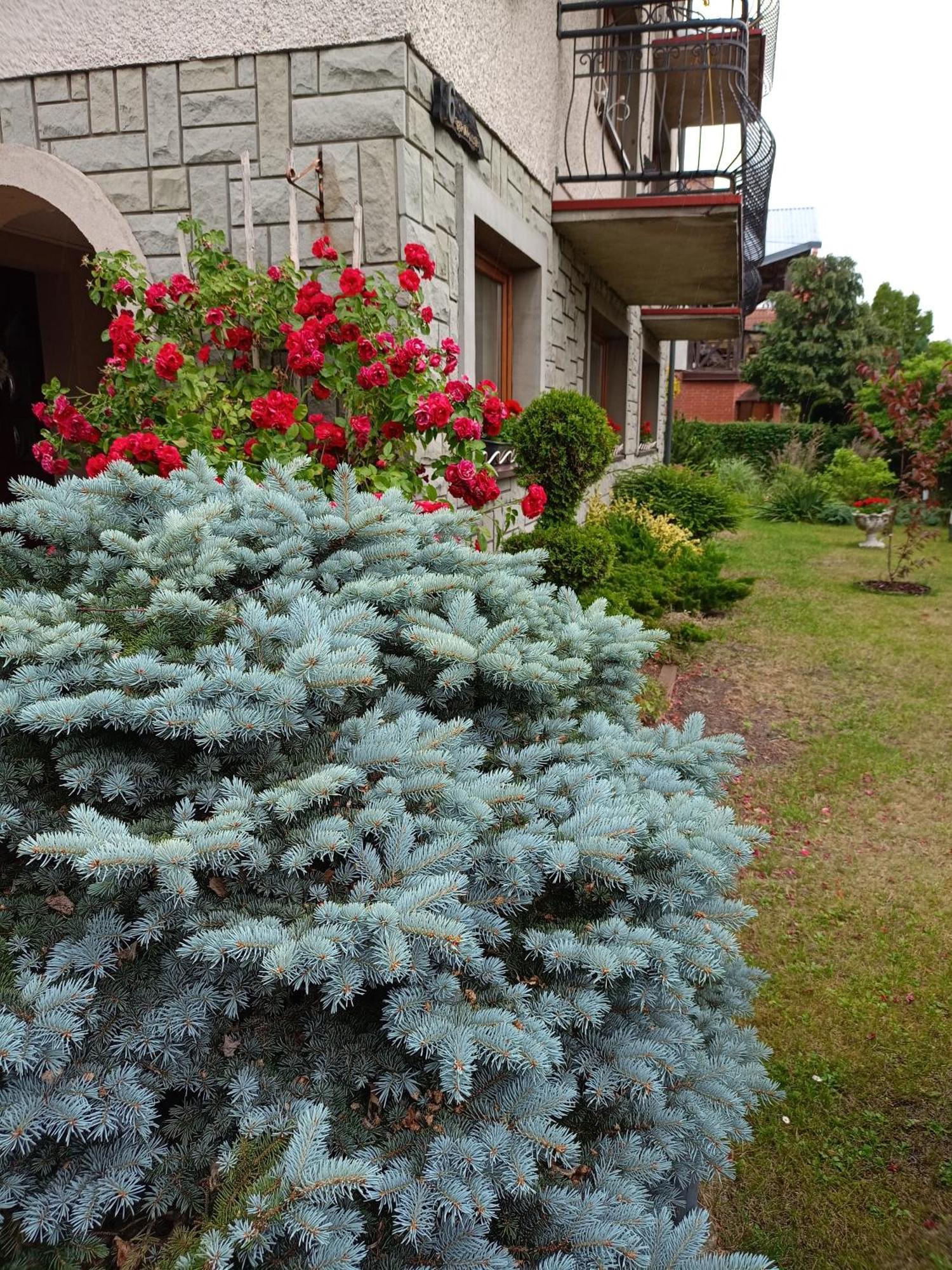 Miramar Apartment Leba Exterior photo